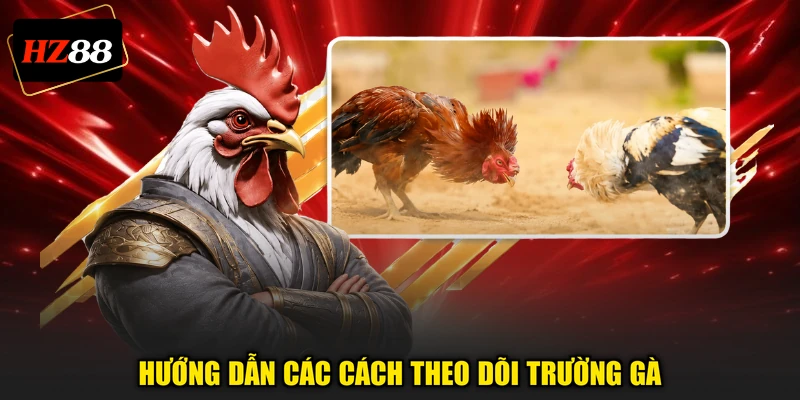 Hướng dẫn các cách theo dõi trường gà
